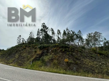 Terreno Agricola ou Rústico para Venda em Castelo Branco