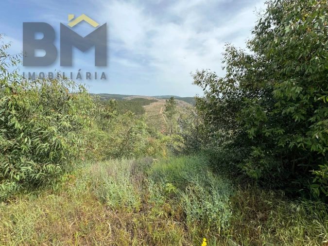 Terreno Agricola ou Rústico para Venda em Castelo Branco Foto 6