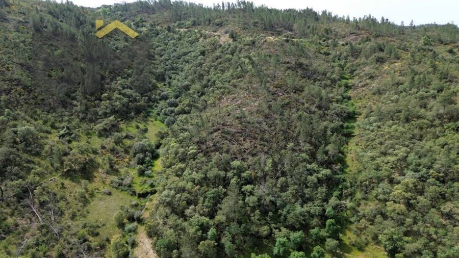Terreno Agricola ou Rústico para Venda em Castelo Branco Foto 3
