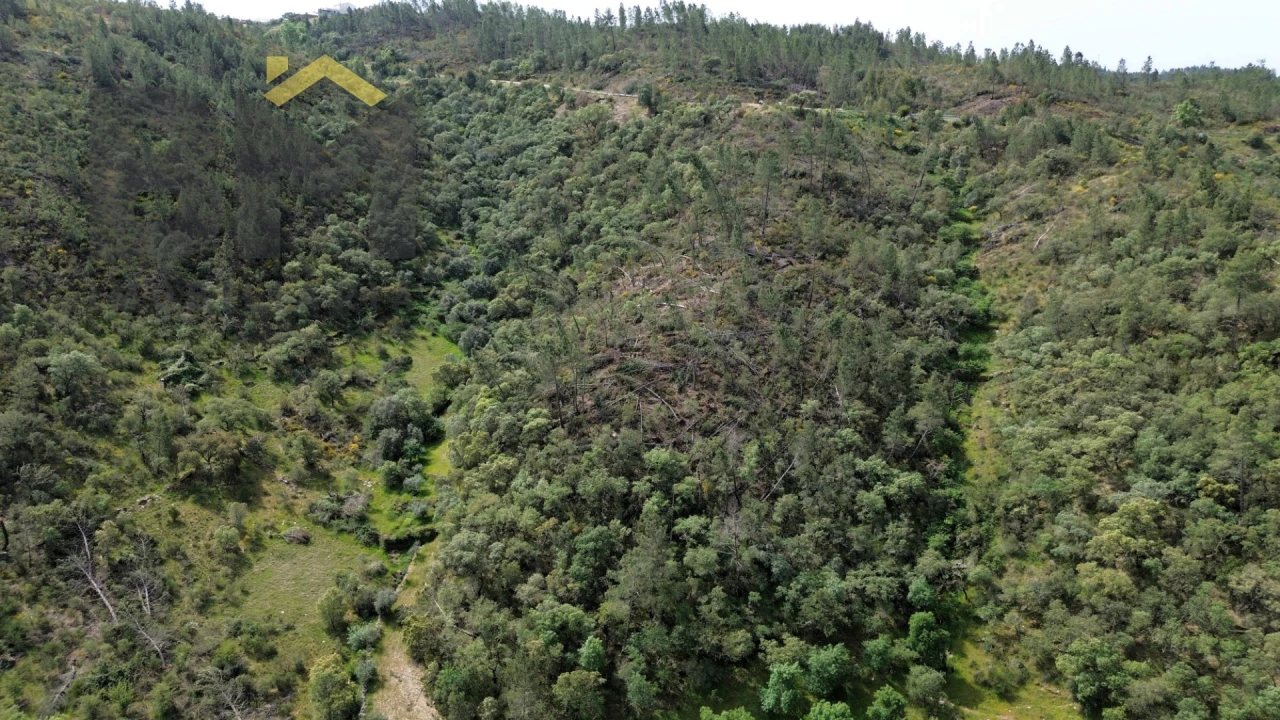 Terreno Agricola ou Rústico para Venda em Castelo Branco Foto 3