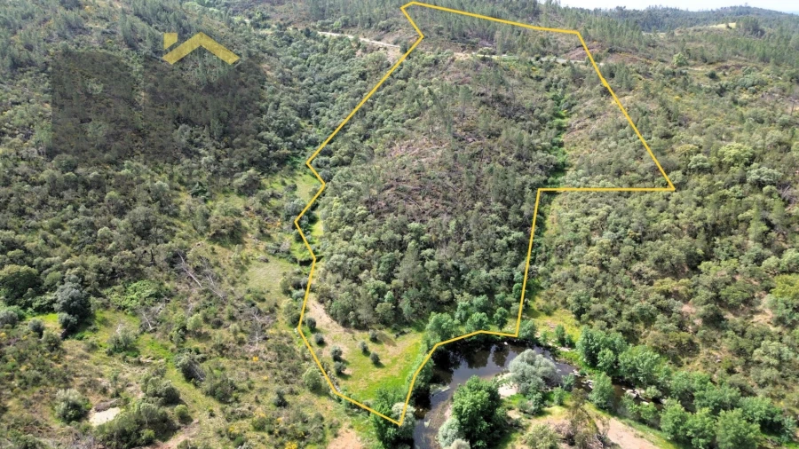Terreno Agricola ou Rústico para Venda em Castelo Branco