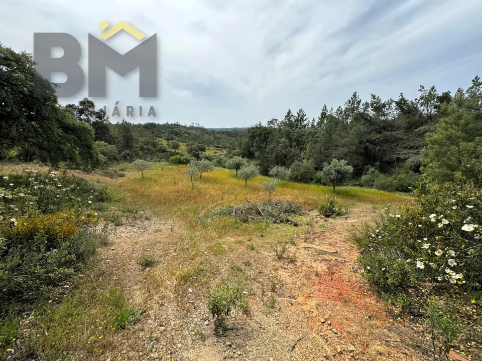 Terreno Agricola ou Rústico para Venda em Castelo Branco Foto 4