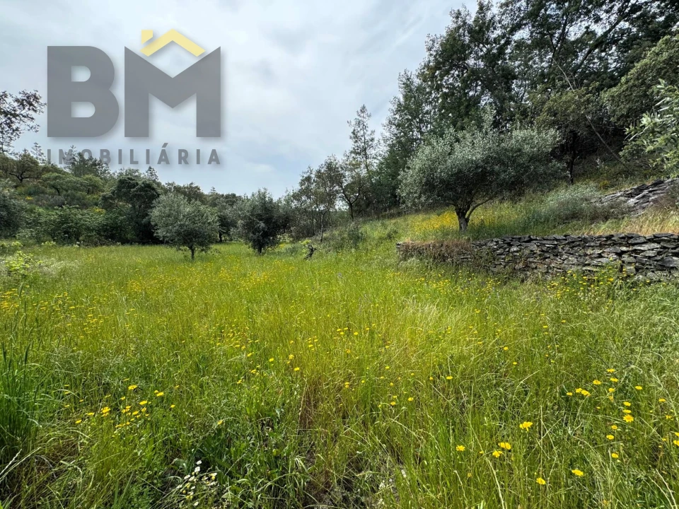 Terreno Agricola ou Rústico para Venda em Castelo Branco Foto 10