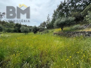 Terreno Agricola ou Rústico para Venda em Castelo Branco