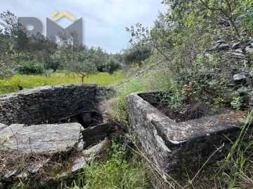 Terreno Agricola ou Rústico para Venda em Castelo Branco