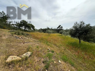 Terreno Agricola ou Rústico para Venda em Castelo Branco