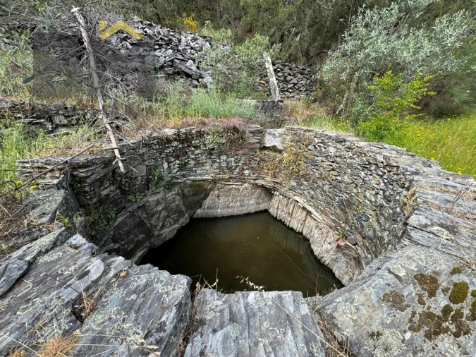 Terreno Agricola ou Rústico para Venda em Castelo Branco Foto 3