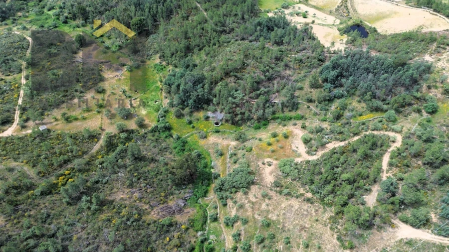 Terreno Agricola ou Rústico para Venda em Castelo Branco Foto 12