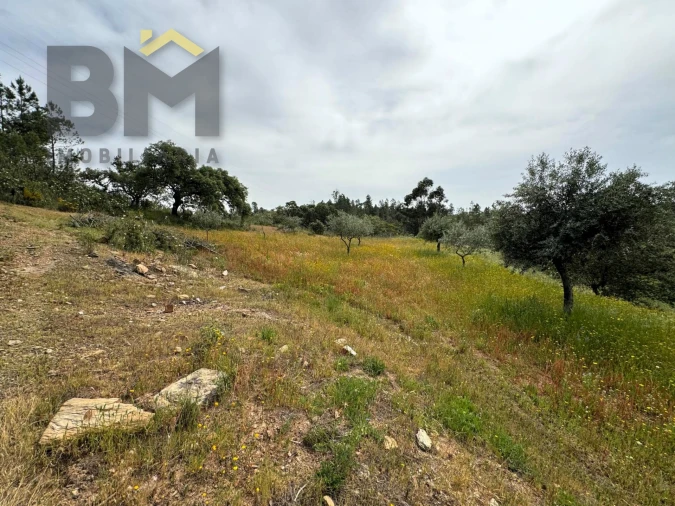 Terreno Agricola ou Rústico para Venda em Castelo Branco Foto 5