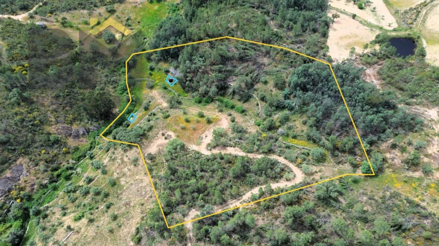 Terreno Agricola ou Rústico para Venda em Castelo Branco