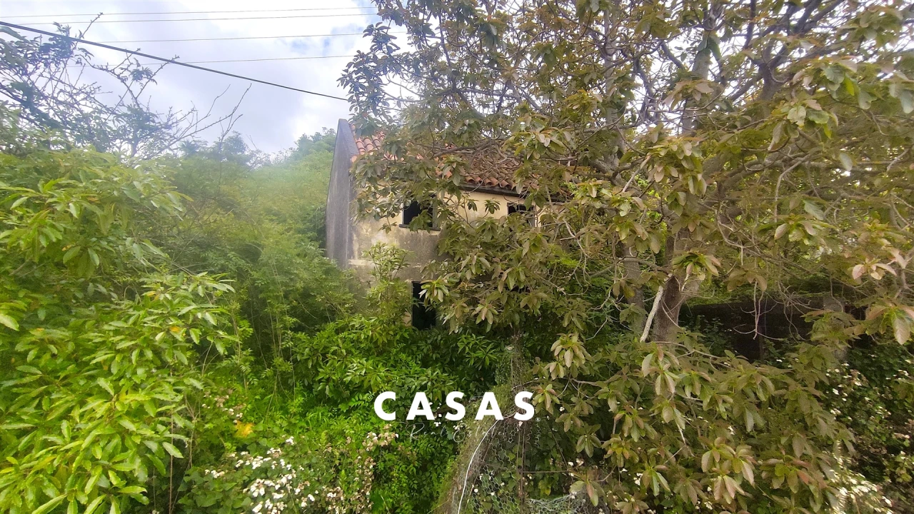 Terreno para Venda em São Gonçalo Foto 7