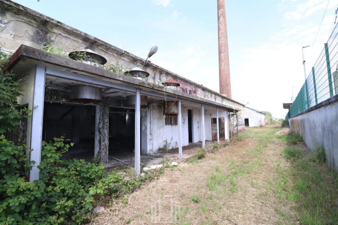 Armazém para Venda em Avanca Foto 7