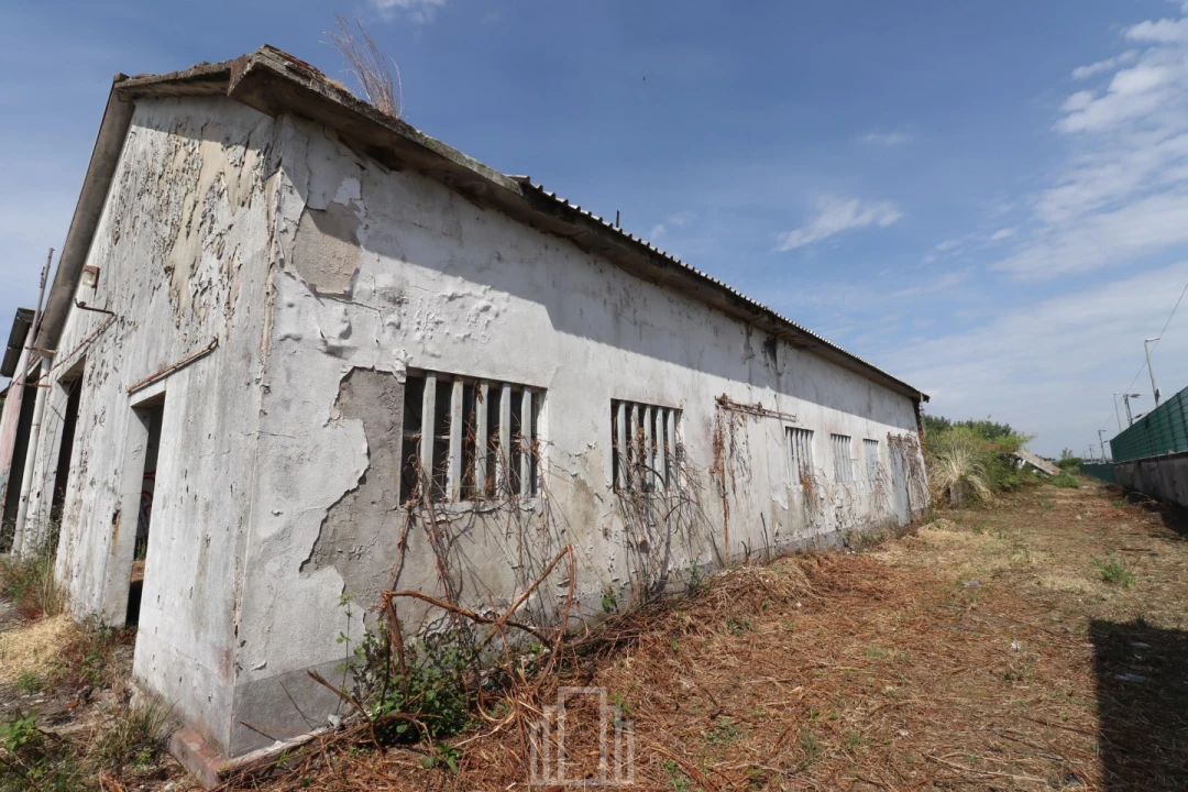Armazém para Venda em Avanca Foto 28