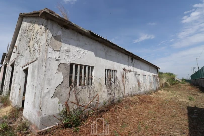Armazém para Venda em Avanca