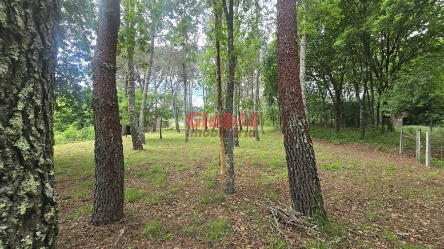 Terreno para Venda em Rio de Loba Foto 2