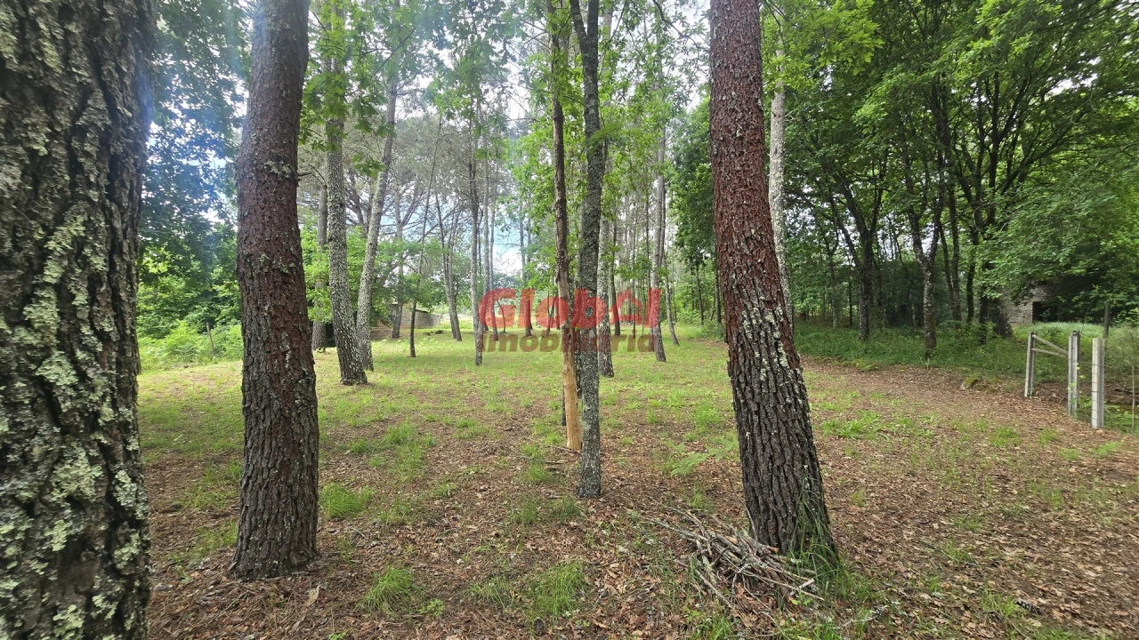 Terreno para Venda em Rio de Loba Foto 2