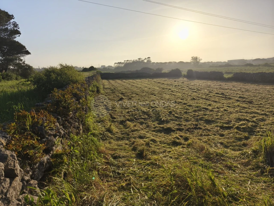 Terreno Agricola ou Rústico para Venda em São João das Lampas e Terrugem Foto 2