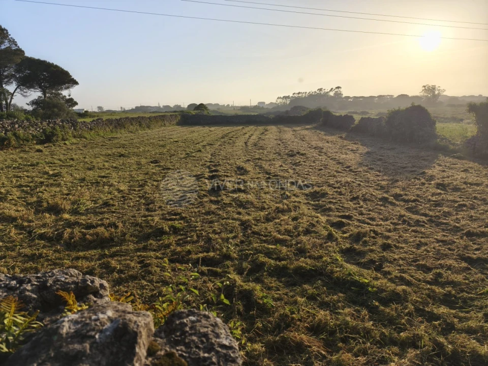 Terreno Agricola ou Rústico para Venda em São João das Lampas e Terrugem Foto 1