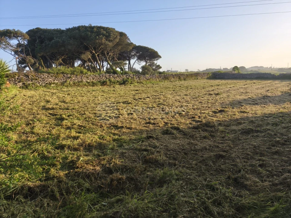 Terreno Agricola ou Rústico para Venda em São João das Lampas e Terrugem Foto 3