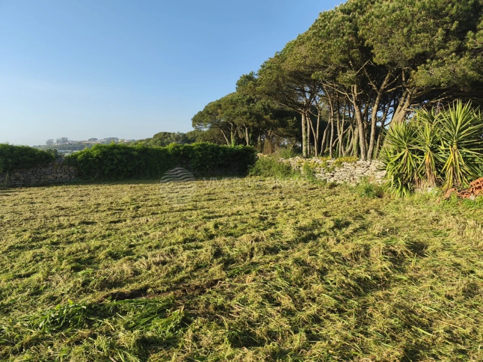 Terreno Agricola ou Rústico para Venda em São João das Lampas e Terrugem Foto 4