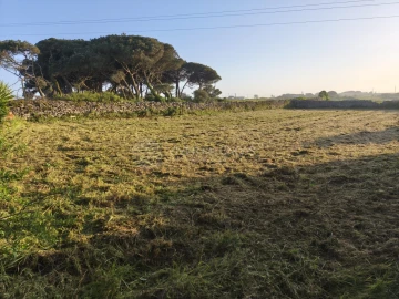 Terreno Agricola ou Rústico para Venda em São João das Lampas e Terrugem