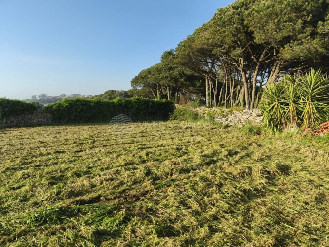 Terreno Agricola ou Rústico para Venda em São João das Lampas e Terrugem Foto 4