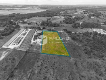 Terreno para Venda em Vale de Santarem