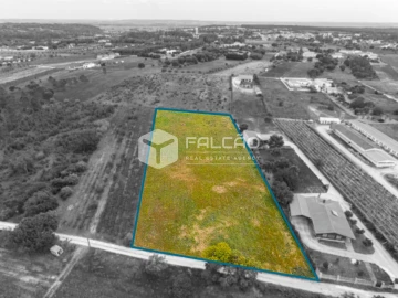 Terreno para Venda em Vale de Santarem