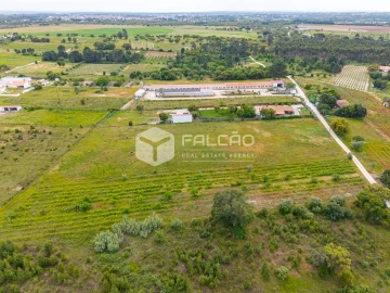 Terreno para Venda em Vale de Santarem