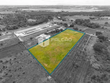 Terreno para Venda em Vale de Santarem
