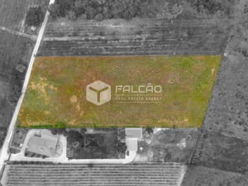 Terreno para Venda em Vale de Santarem