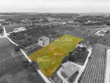 Terreno para Venda em Vale de Santarem