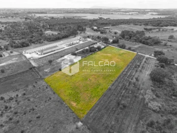 Terreno para Venda em Vale de Santarem