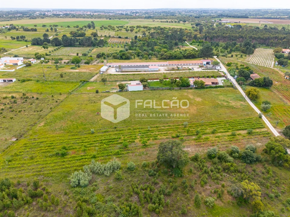 Terreno para Venda em Vale de Santarem Foto 18