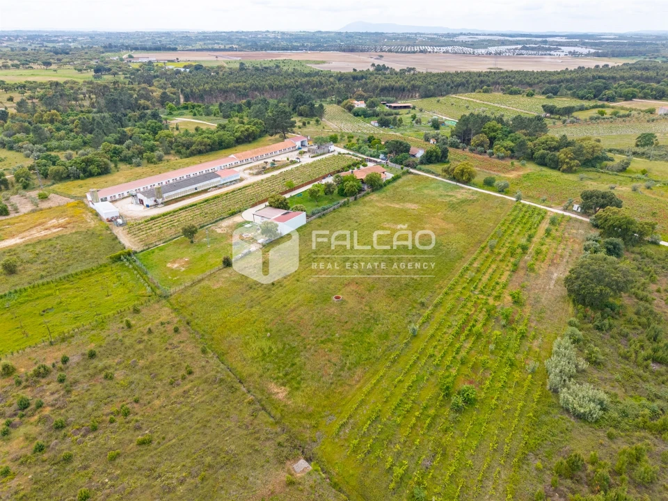 Terreno para Venda em Vale de Santarem Foto 17