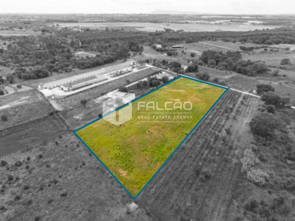 Terreno para Venda em Vale de Santarem Foto 28