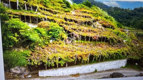 Terreno para Venda em São Vicente