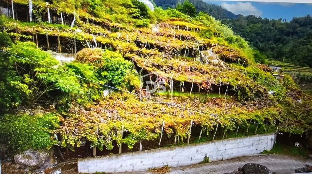 Terreno para Venda em São Vicente Foto 5