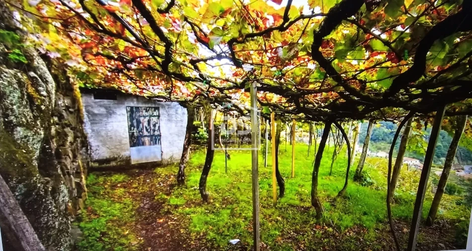 Terreno para Venda em São Vicente Foto 6
