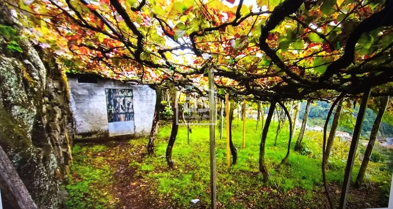 Terreno para Venda em São Vicente Foto 6