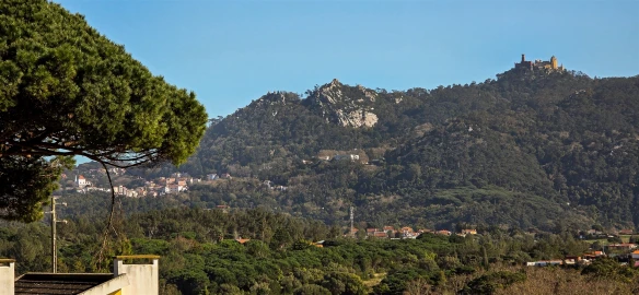Moradia T4 para Venda em Santa Maria e São Miguel, São Martinho, São Pedro Penaferrim