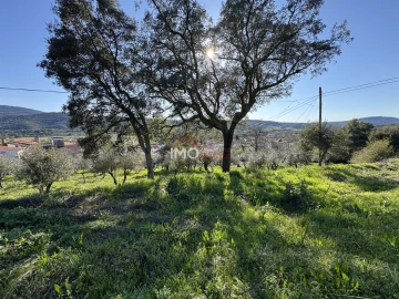 Terreno para Venda em São Salvador da Aramenha
