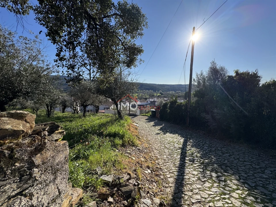 Terreno para Venda em São Salvador da Aramenha Foto 6
