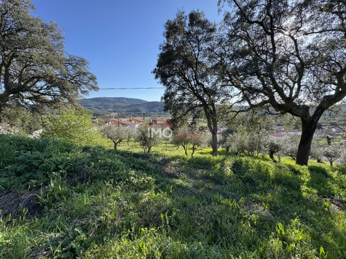 Terreno para Venda em São Salvador da Aramenha Foto 2