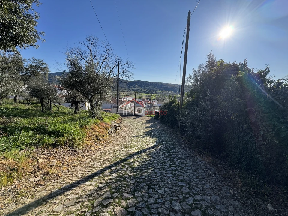 Terreno para Venda em São Salvador da Aramenha Foto 5