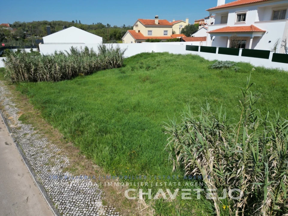 Terreno para Venda em São João Baptista e Santa Maria dos Olivais Foto 9