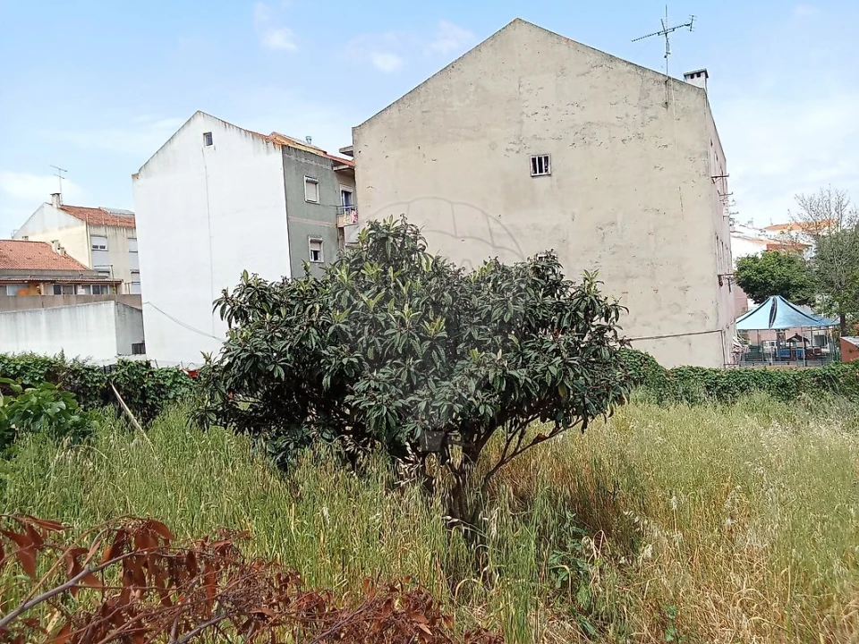 Terreno para Venda em Encosta do Sol Foto 7