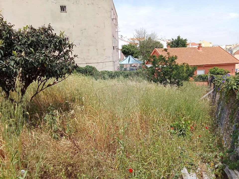 Terreno para Venda em Encosta do Sol Foto 8