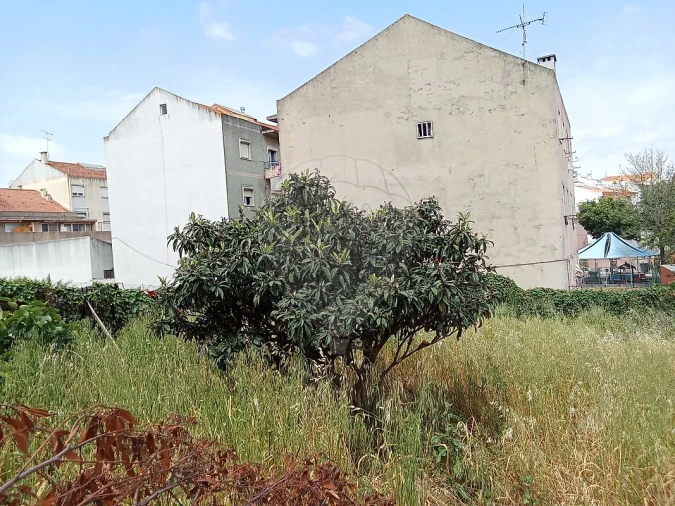 Terreno para Venda em Encosta do Sol Foto 7
