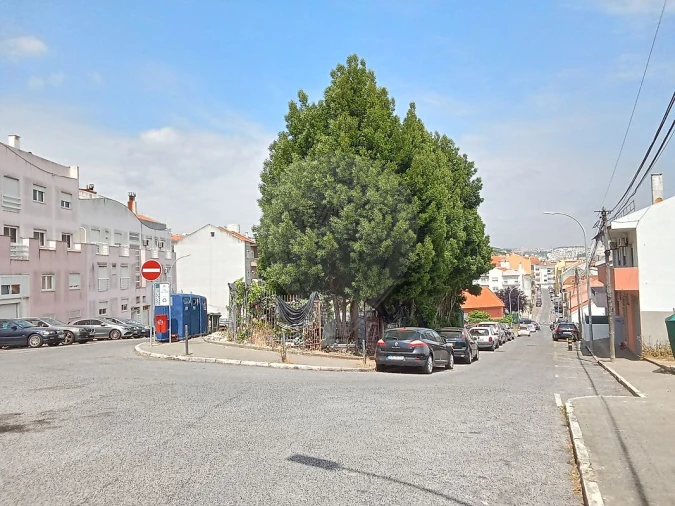Terreno para Venda em Encosta do Sol Foto 2
